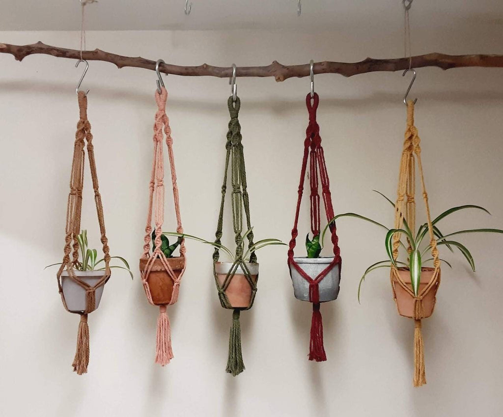 Small Macrame Plant Hanger