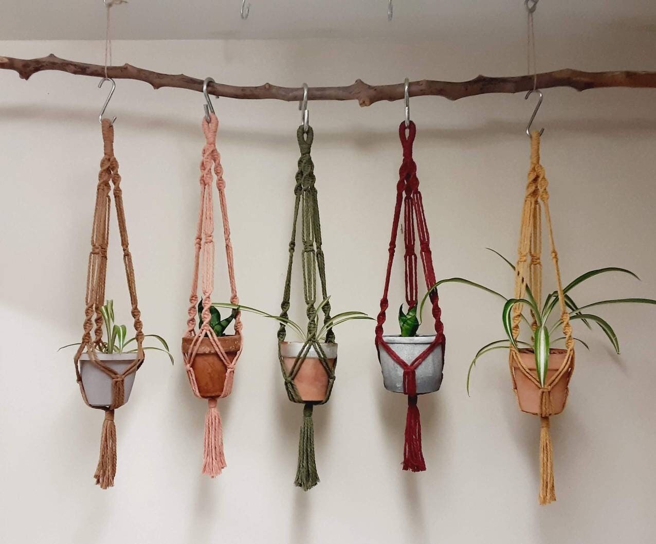 Small Macrame Plant Hanger