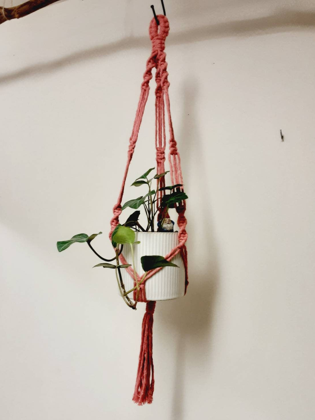 Small Macrame Plant Hanger