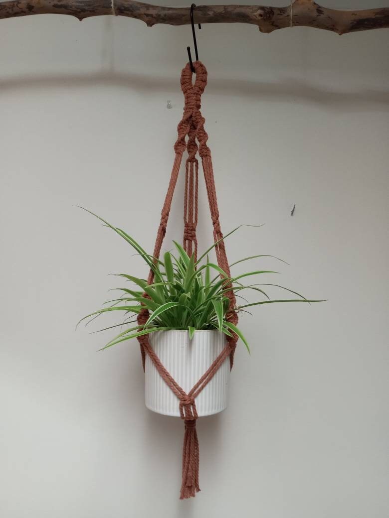 Small Macrame Plant Hanger