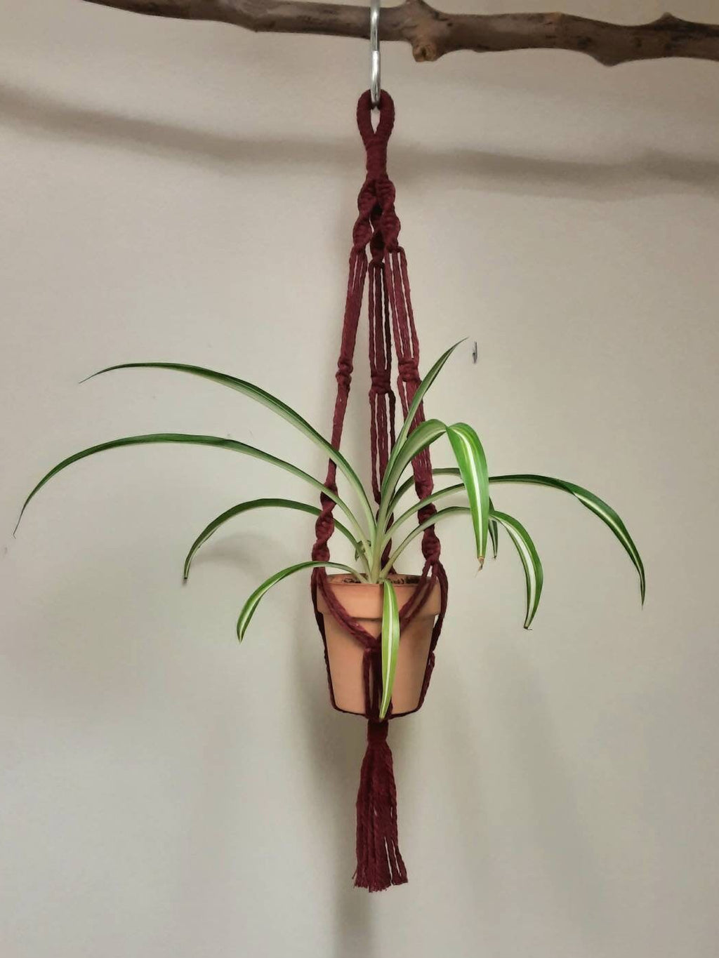 Small Macrame Plant Hanger