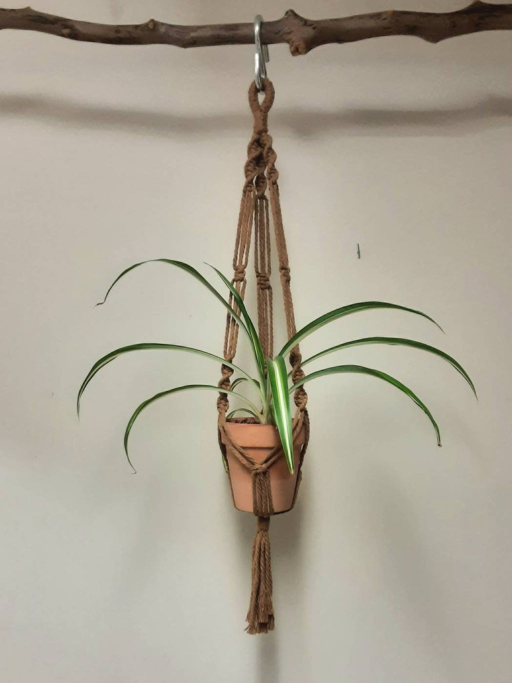 Small Macrame Plant Hanger