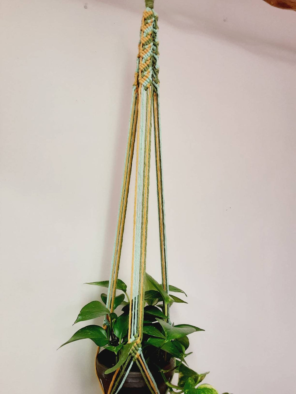 Multicolored Macrame Plant Hanger
