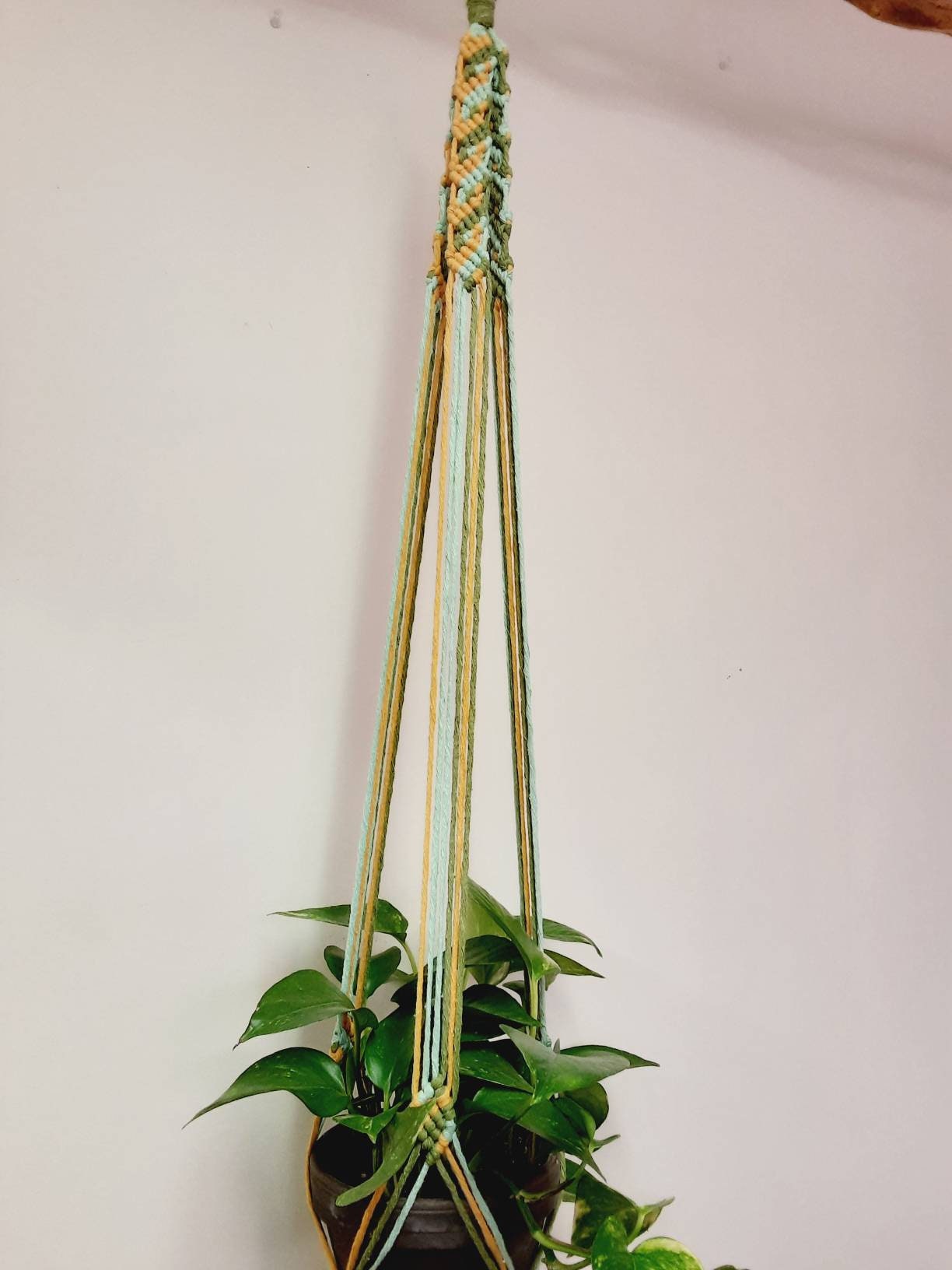 Multicolored Macrame Plant Hanger