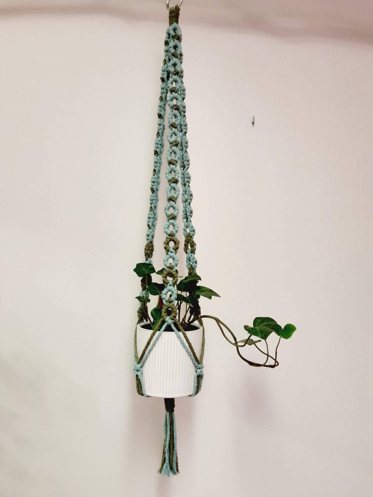 Colorful, Circle Plant Hanger