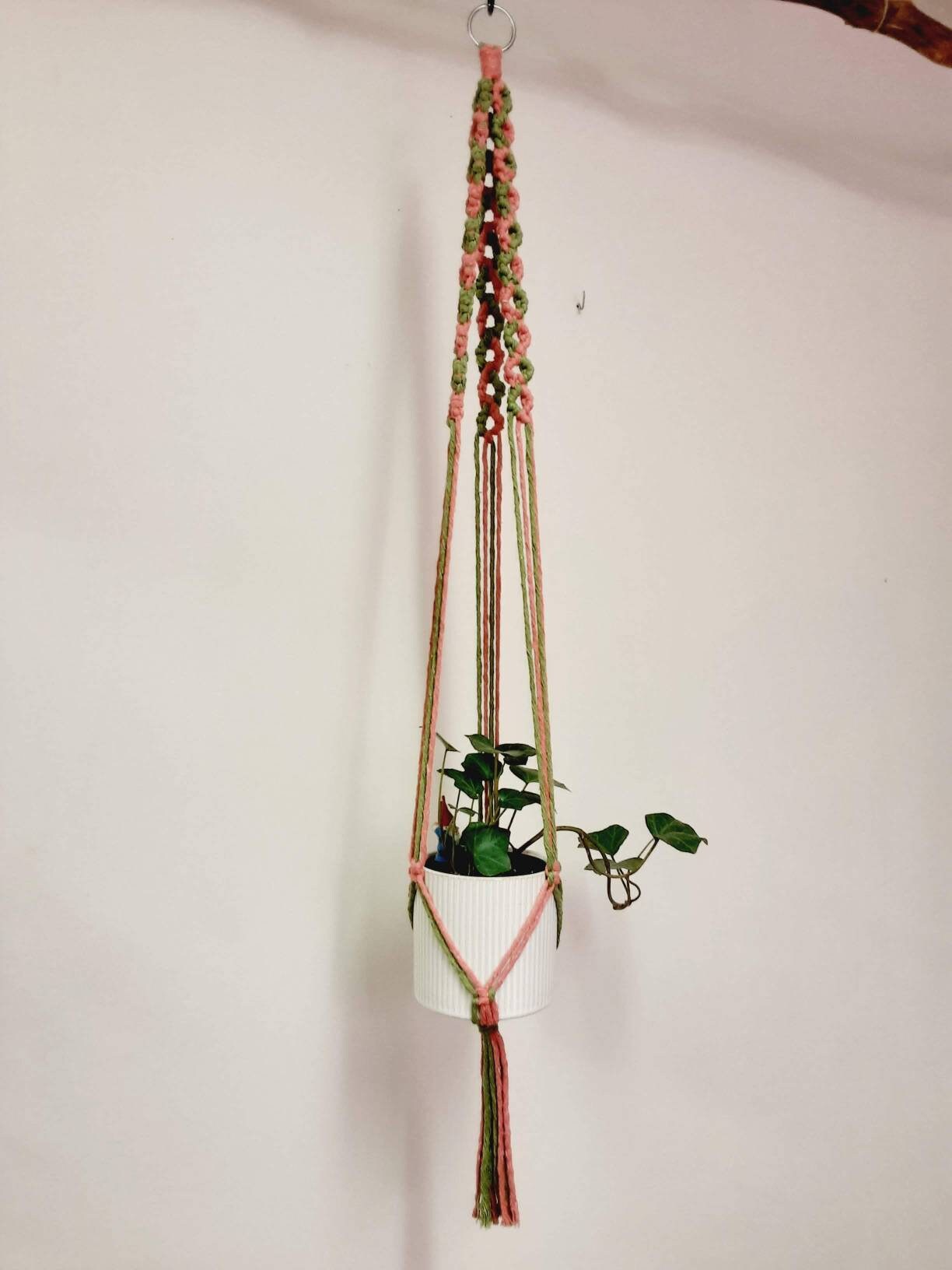 Colorful, Circle Plant Hanger