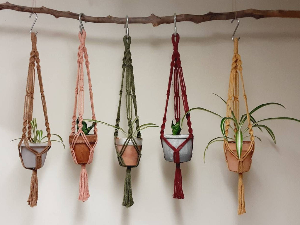Small Macrame Plant Hanger