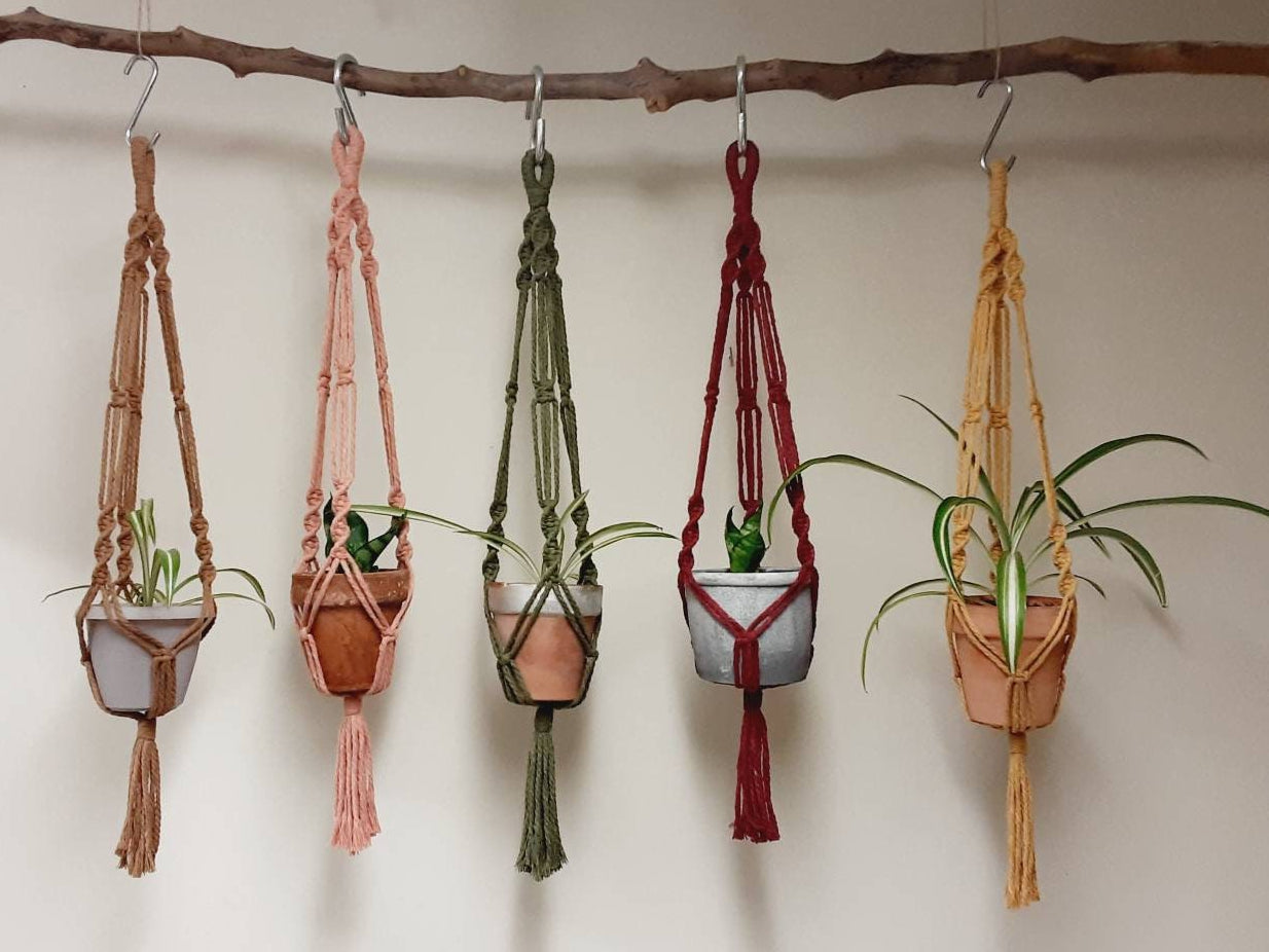 Small Macrame Plant Hanger