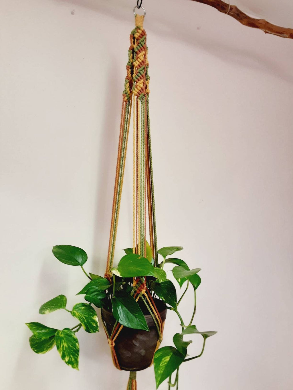 Multicolored Macrame Plant Hanger