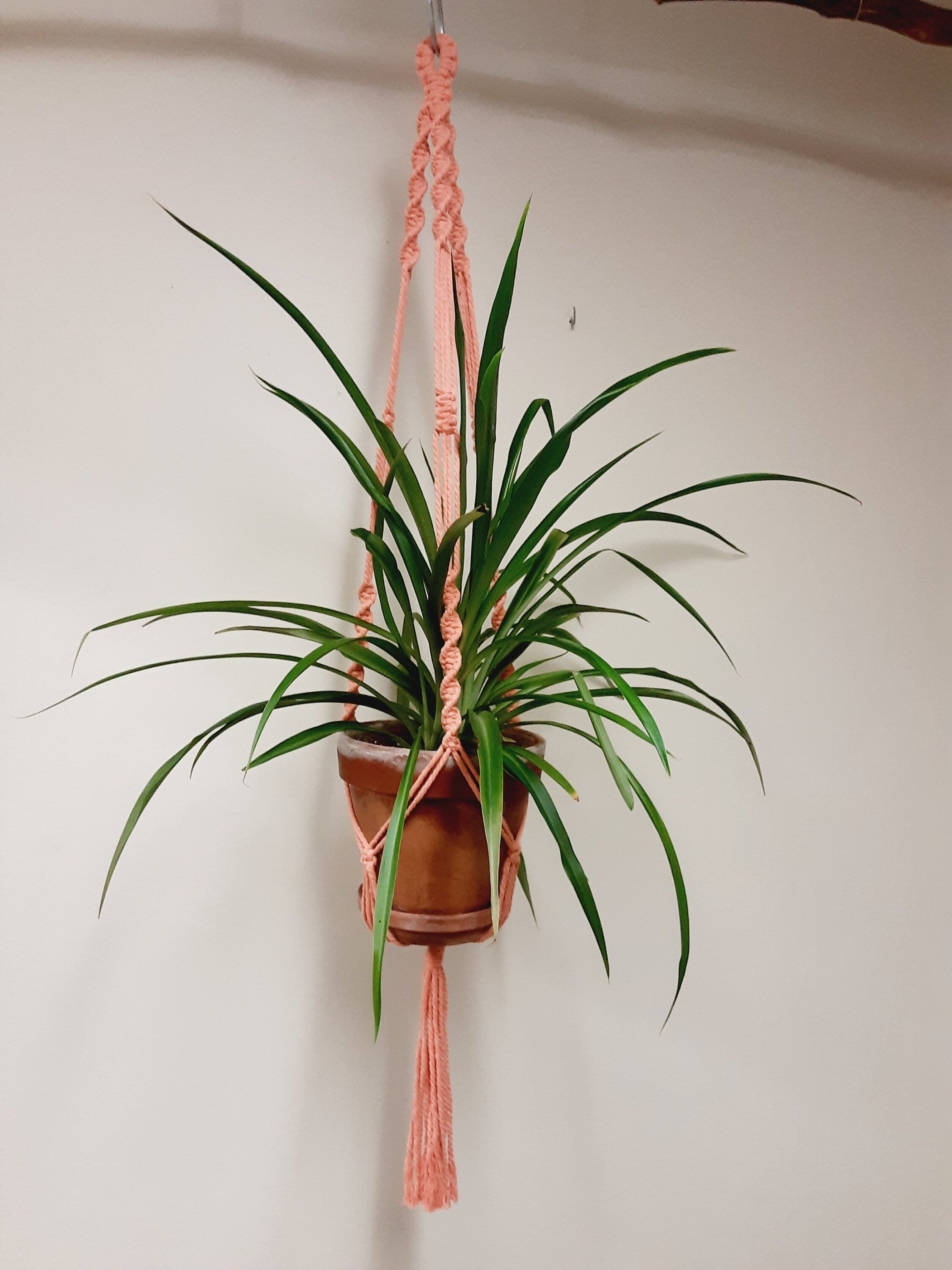 Macrame 28" Plant hanger
