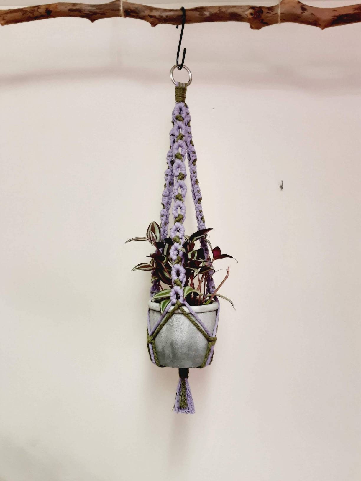 Colorful, Circle Plant Hanger