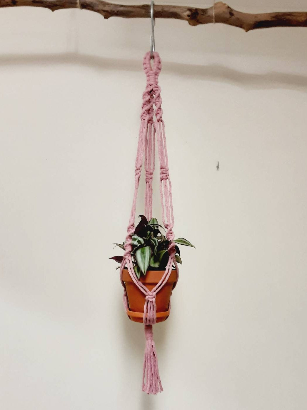 Small Macrame Plant Hanger