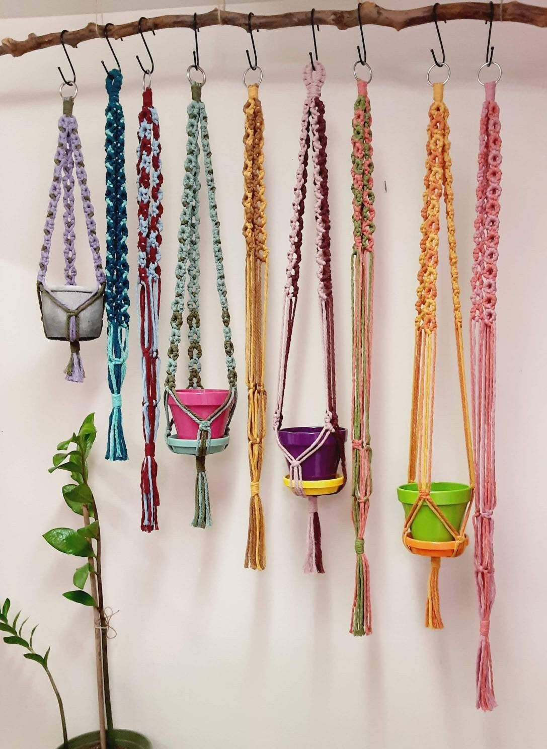 Colorful, Circle Plant Hanger