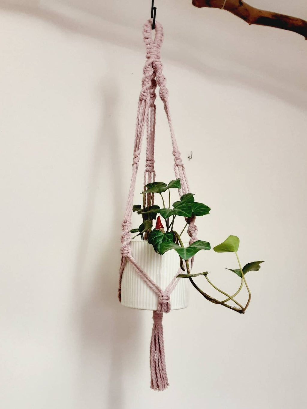 Small Macrame Plant Hanger