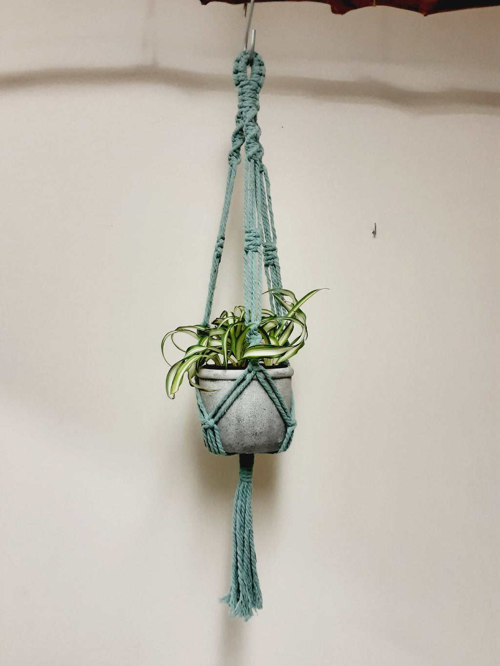 Small Macrame Plant Hanger