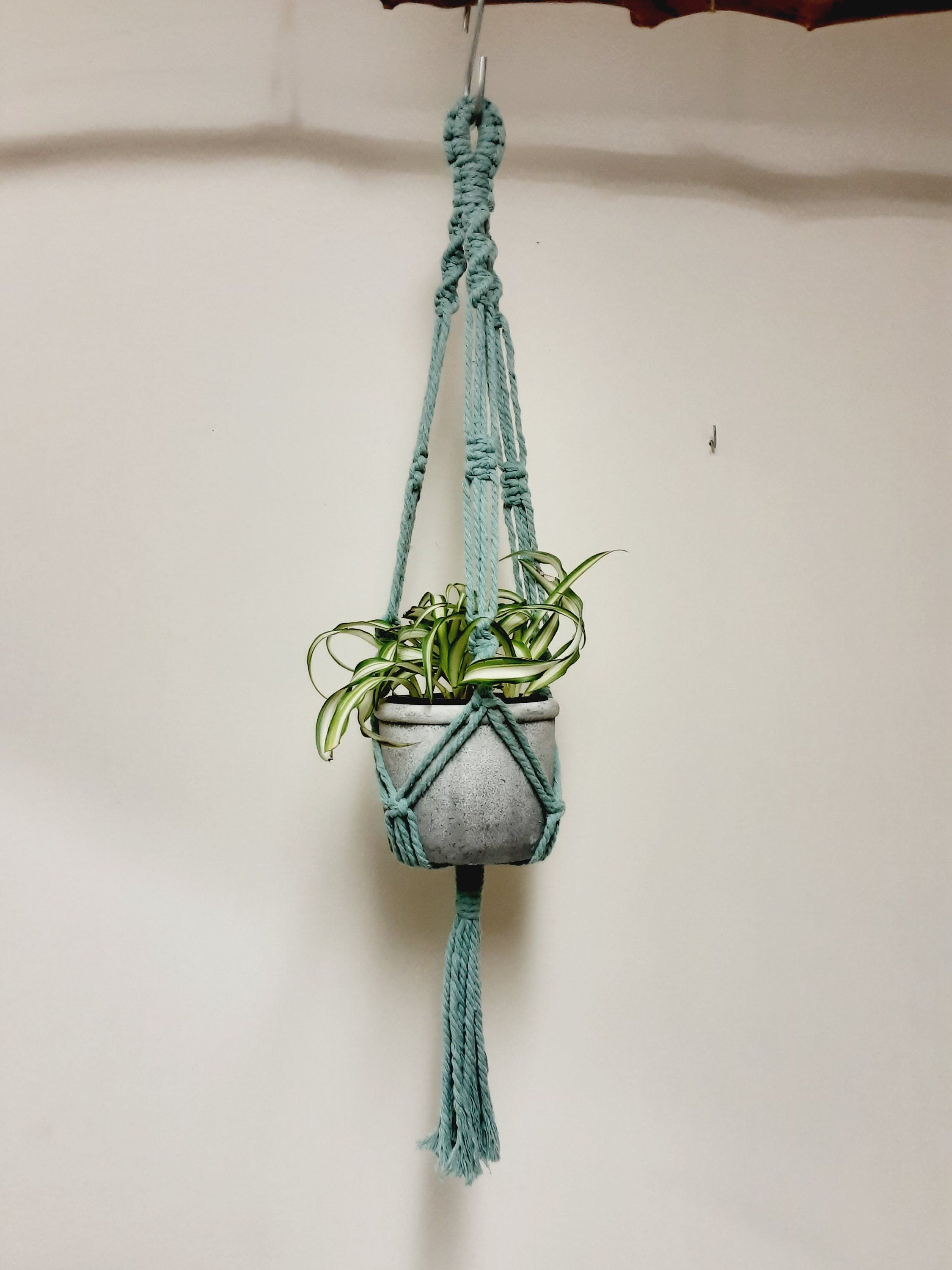 Small Macrame Plant Hanger