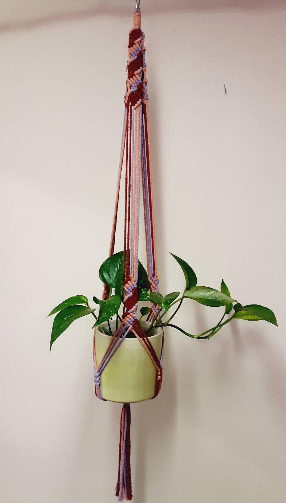 Multicolored Macrame Plant Hanger